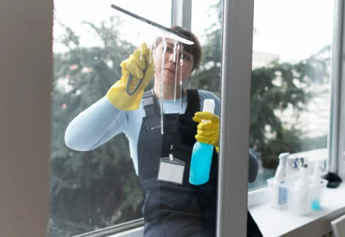 Nettoyage de vitres intérieures et extérieures à Pouru-aux-Bois